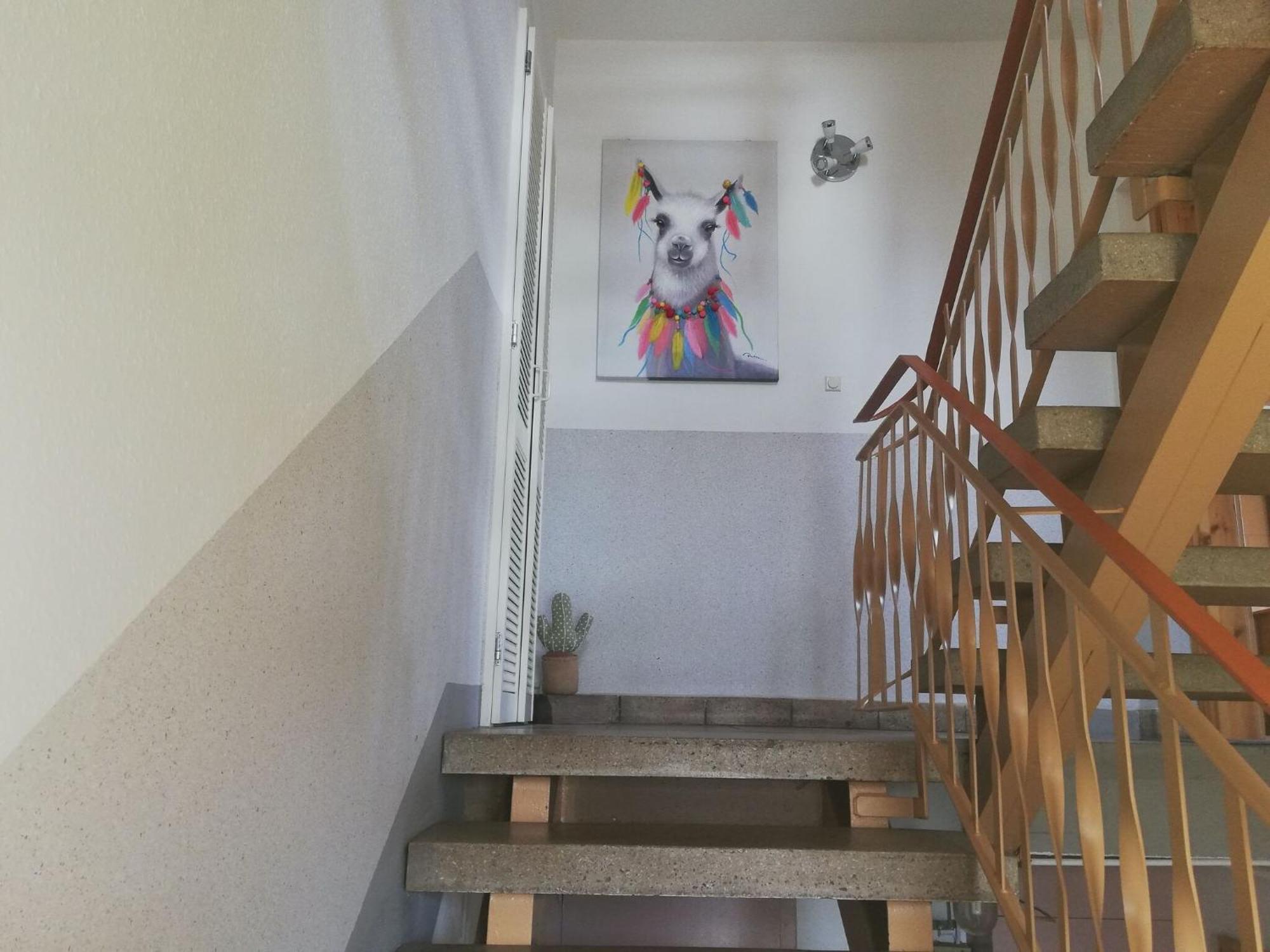 Apartment With Panoramic View Brotterode Exteriör bild